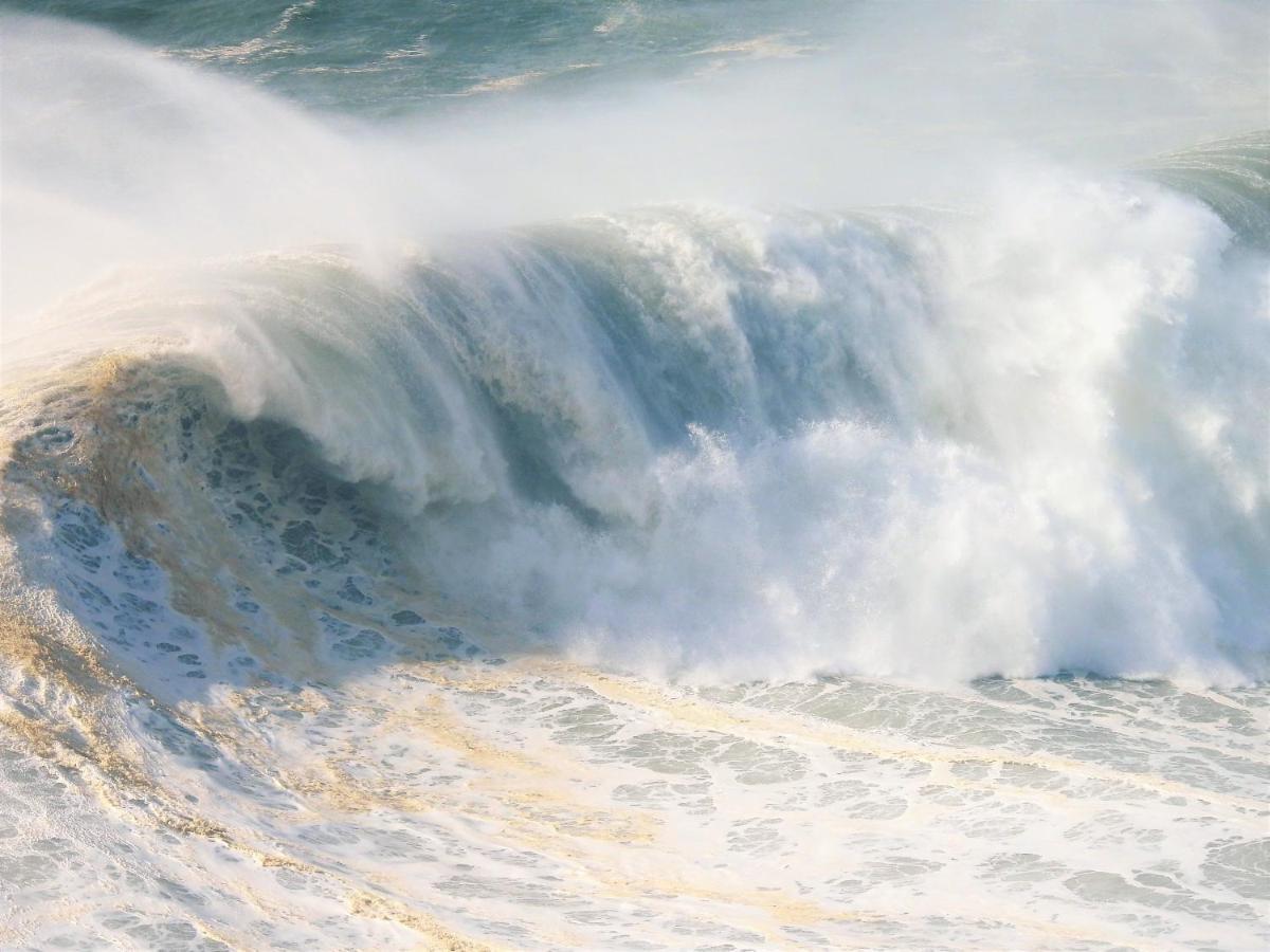 White Swell By Sitio Da Nazare Daire Dış mekan fotoğraf